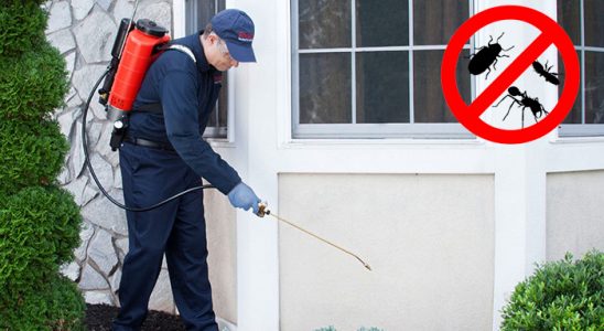Silivri Böcek İlaçlama böcek ilaçlama ve haşere kontrolü — ilaclama-tr.com